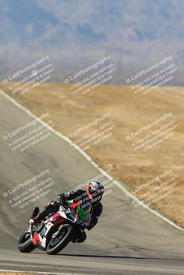 media/Feb-02-2025-Race Pace (Sun) [[84aa3aff12]]/1-Verified/4-Turn 10 Tip In (1025am)/